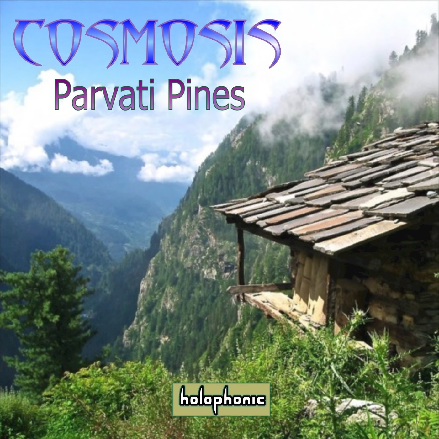 Parvati Pines - Single album cover