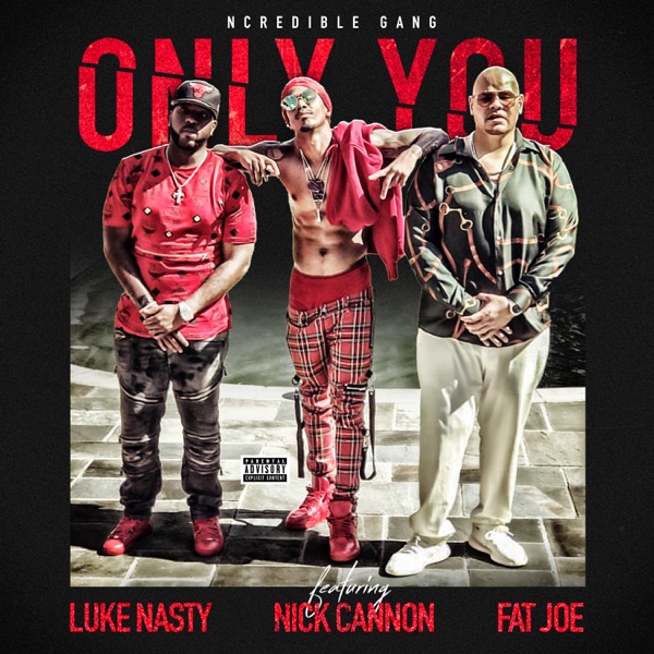 Only You (feat. Nick Cannon, Fat Joe & DJ Luke Nasty) - Single album cover