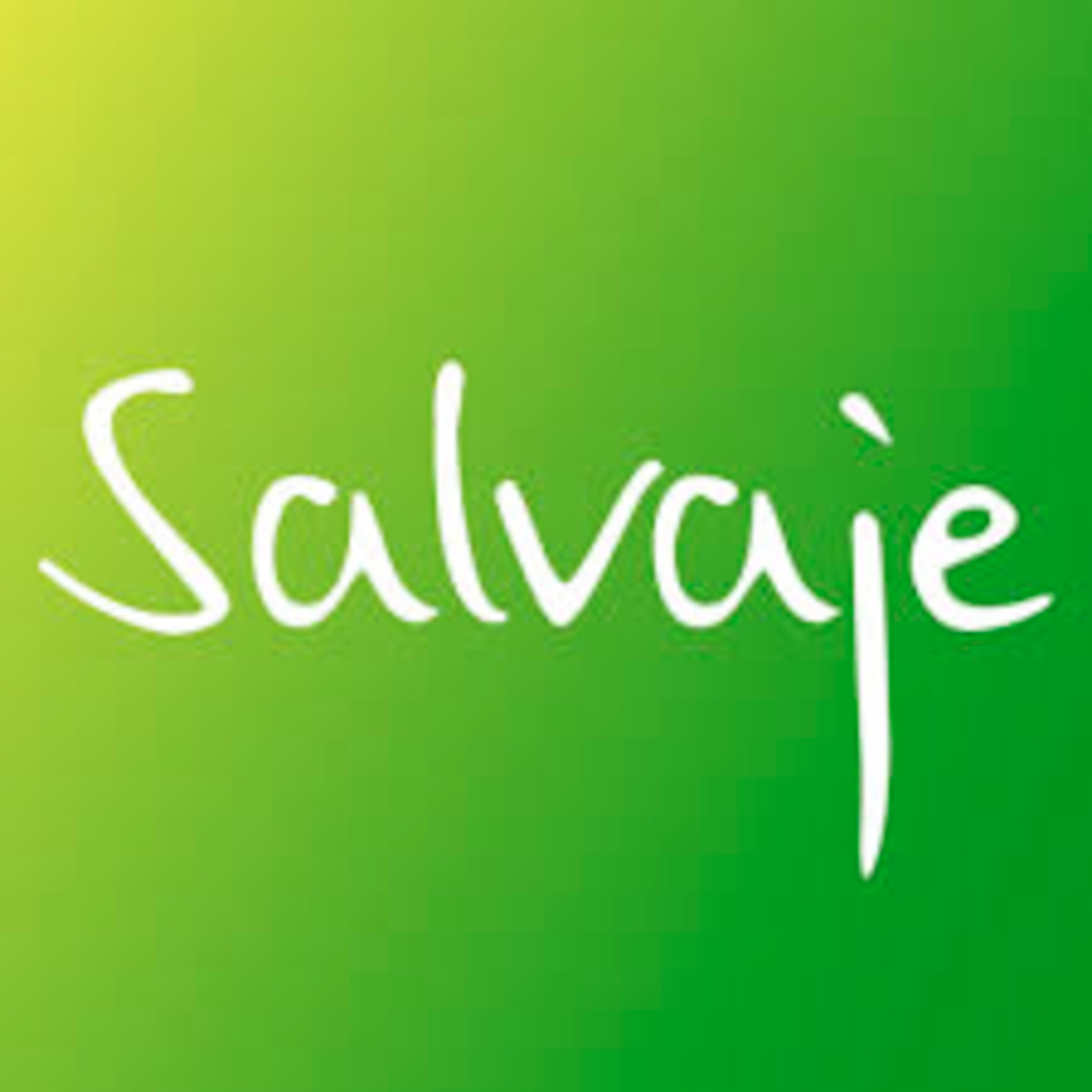 Salvaje (feat. Daddy Yankee) - Single album cover