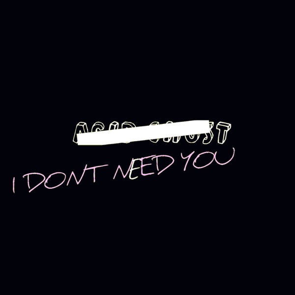 I Don't Need You - Single album cover