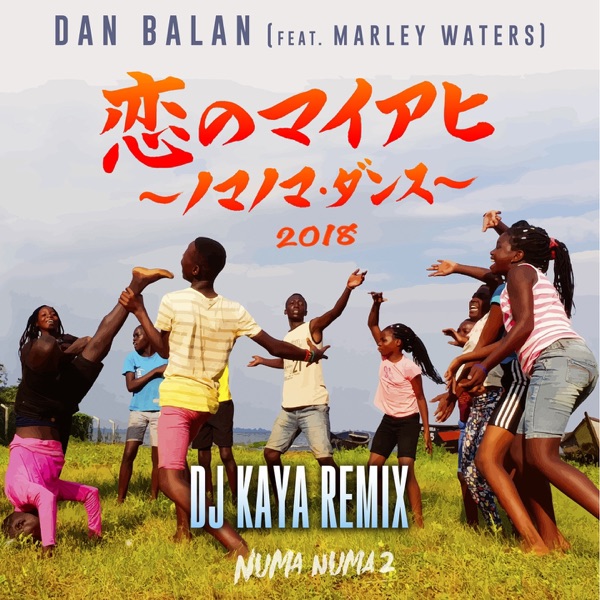 Numa Numa 2 (Dj Kaya Remix) - Single album cover
