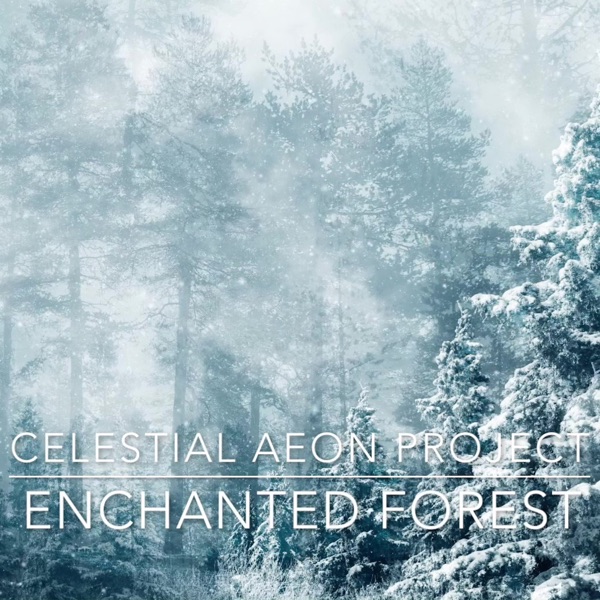 Enchanted Forest album cover