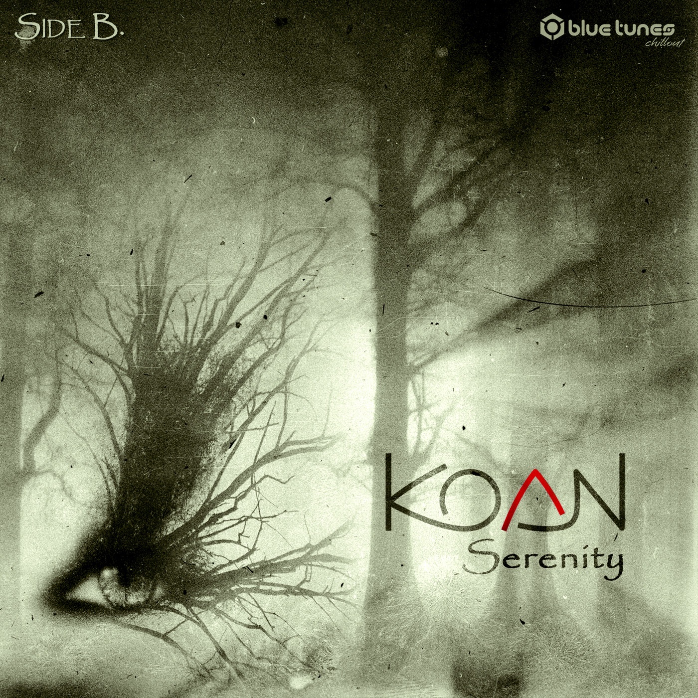 Serenity Side B. album cover