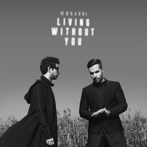 Living Without You - Single album cover