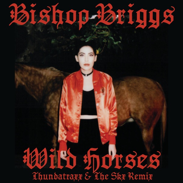 Wild Horses (Thundatraxx & The SKX Remix) - Single album cover