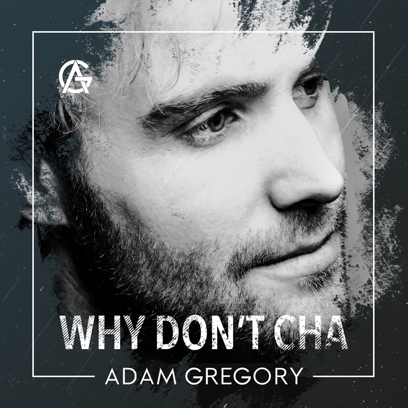 Why Don't Cha - Single album cover