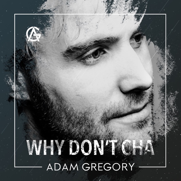 Why Don't Cha - Single album cover