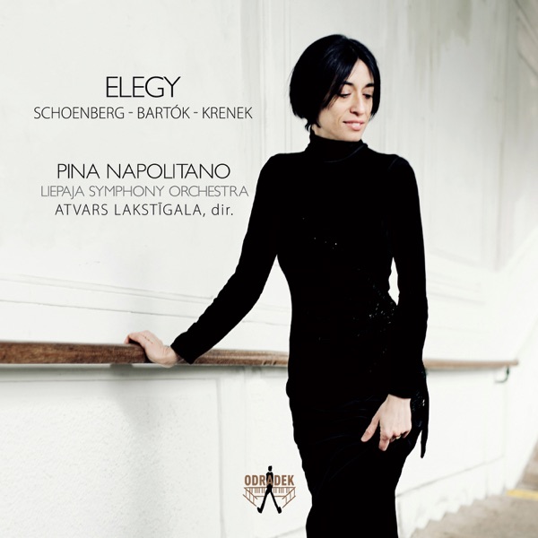 Elegy album cover