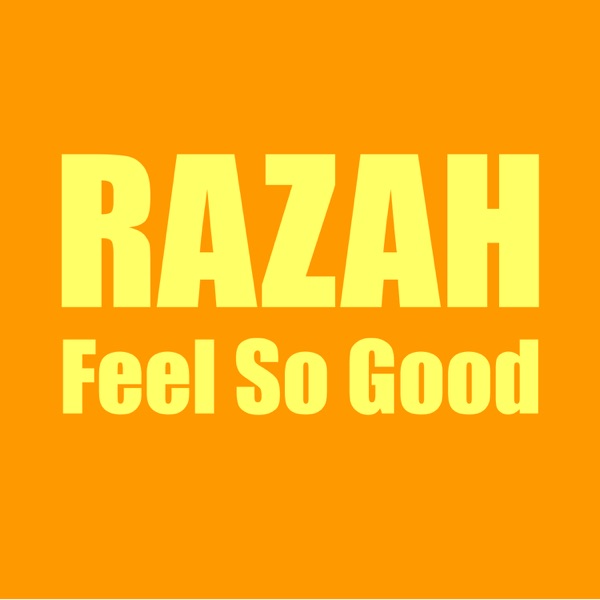 Feel So Good - Single album cover
