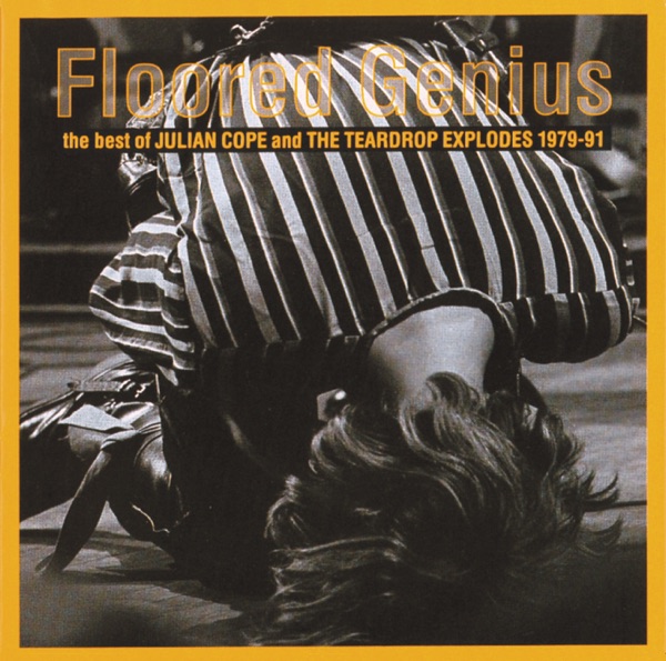 Floored Genius: The Best of Julian Cope and the Teardrop Explodes (1979-91) album cover