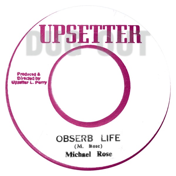Observe Life - Single album cover