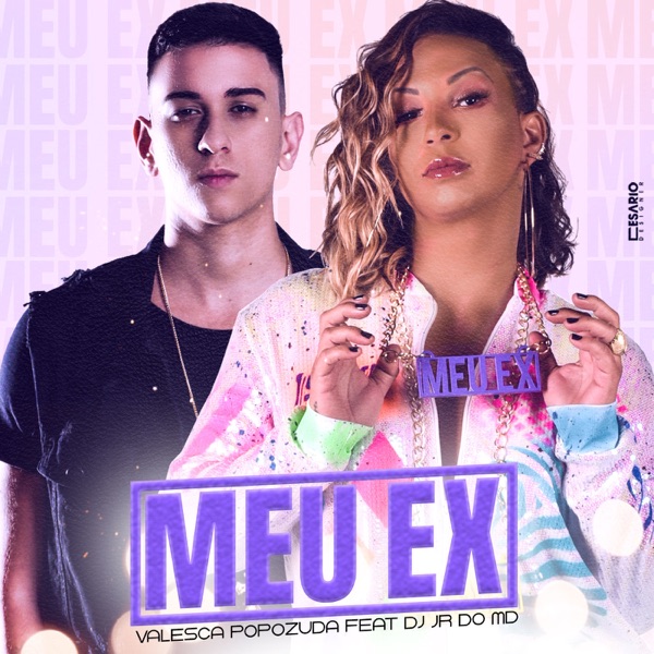 Meu Ex (feat. DJ Jr do MD) - Single album cover