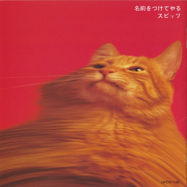 Namaewotsuketeyaru album cover