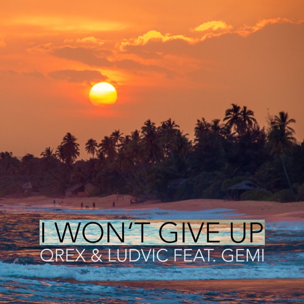 I Won't Give Up (feat. Gemi) - Single album cover