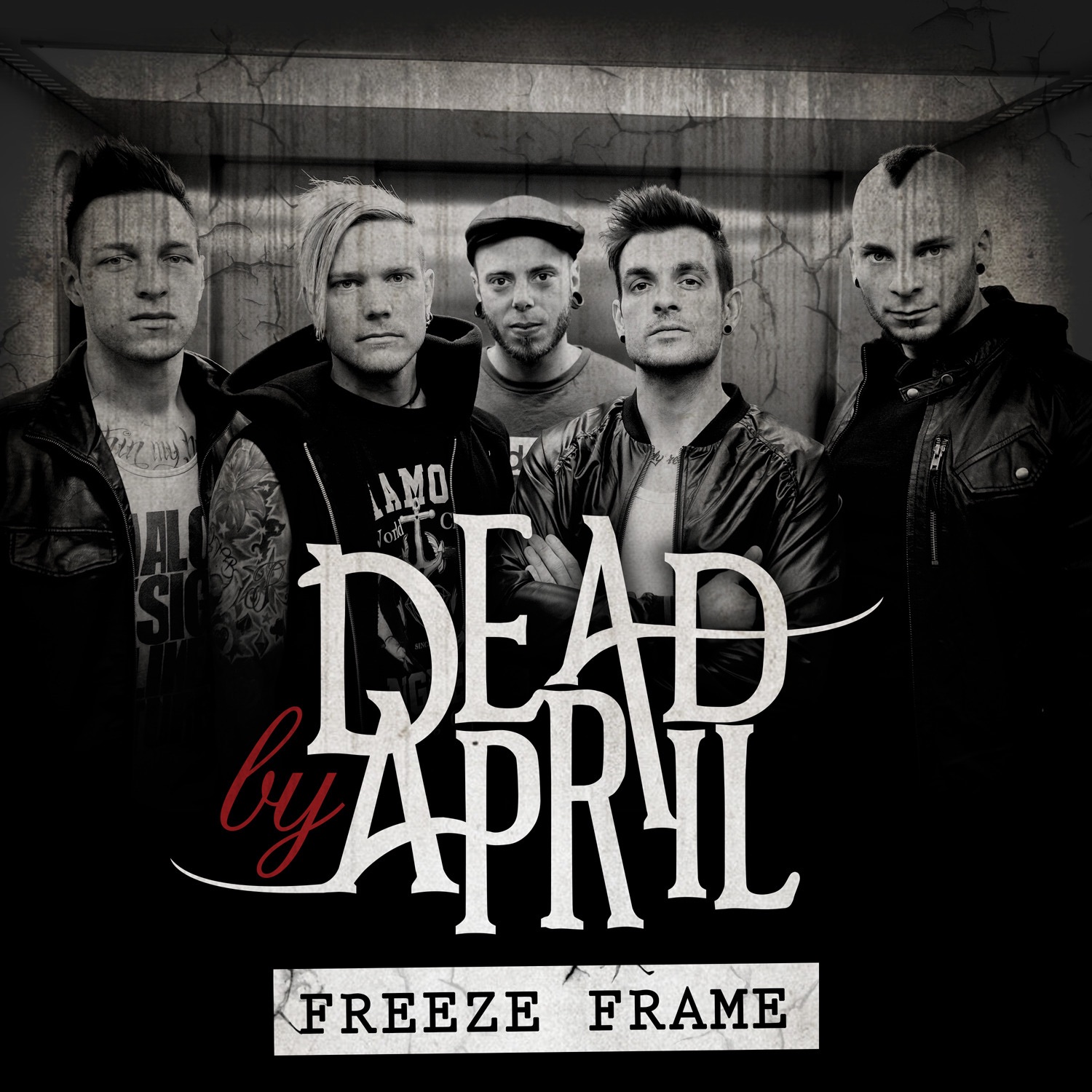 Freeze Frame - Single album cover