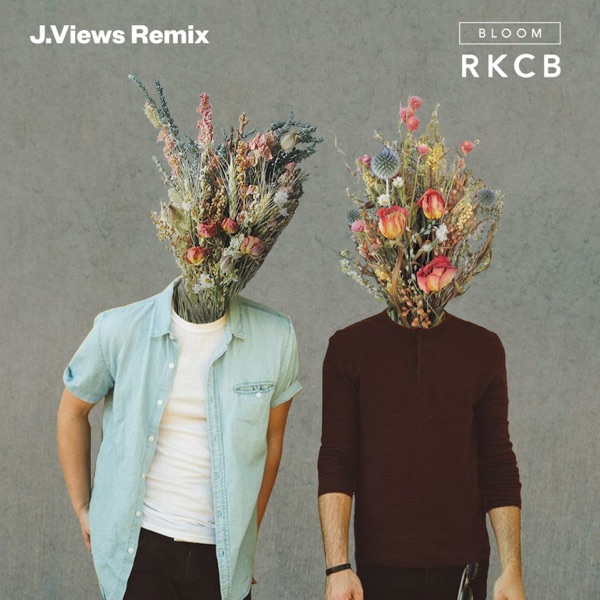 Bloom (J.Views Remix) - Single album cover