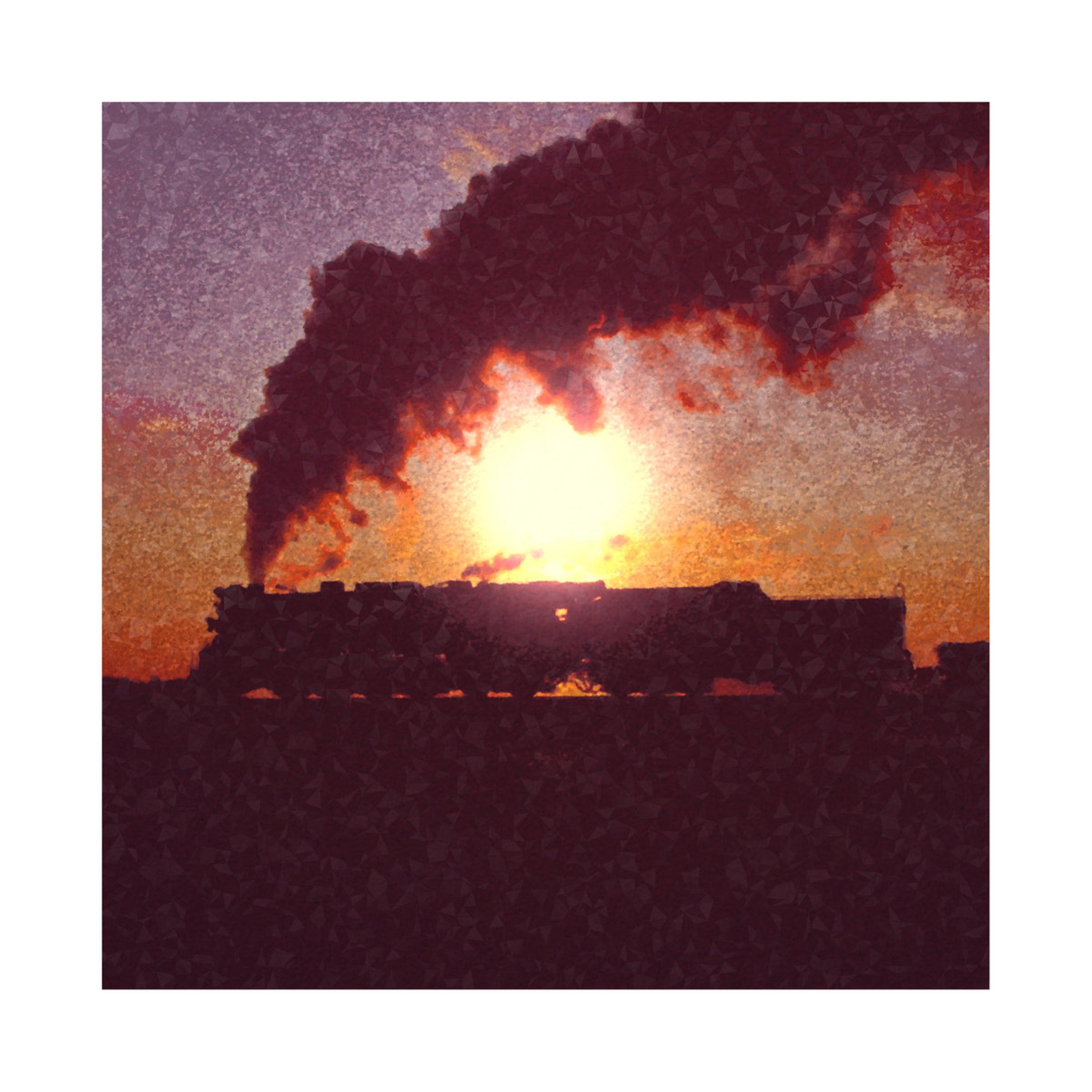 Phyllotaxis - Single album cover