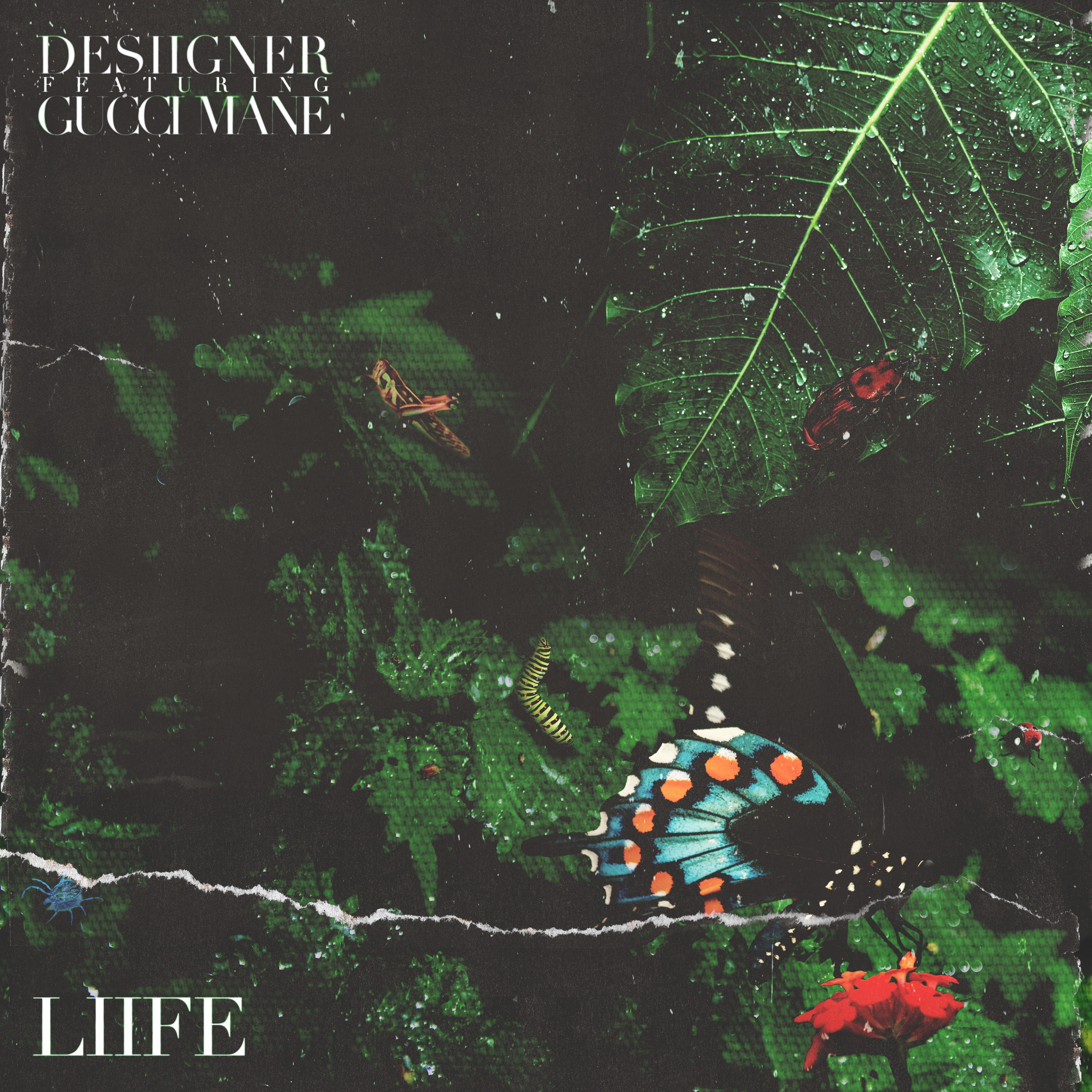 Liife (feat. Gucci Mane) - Single album cover
