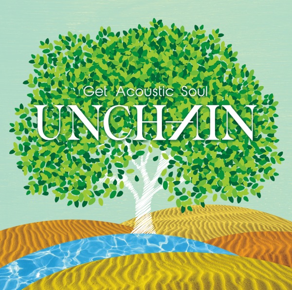 Get Acoustic Soul album cover