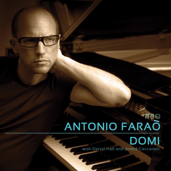 Domi (feat. Darryl Hall & André Ceccarelli) album cover