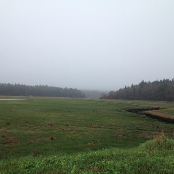 Week 73: The End of Fables - Single album cover