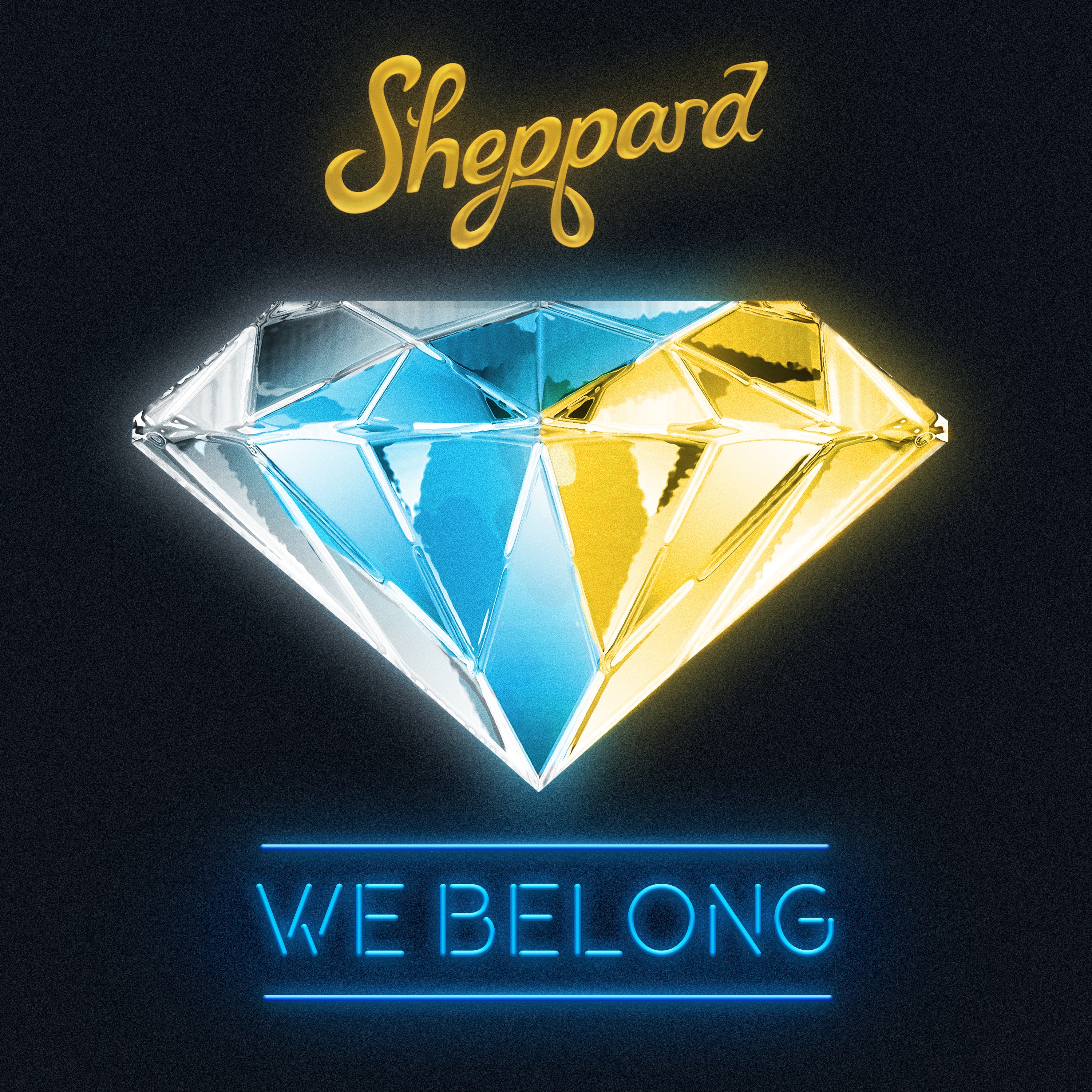 We Belong - Single album cover