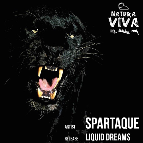 Liquid Dreams - Single album cover