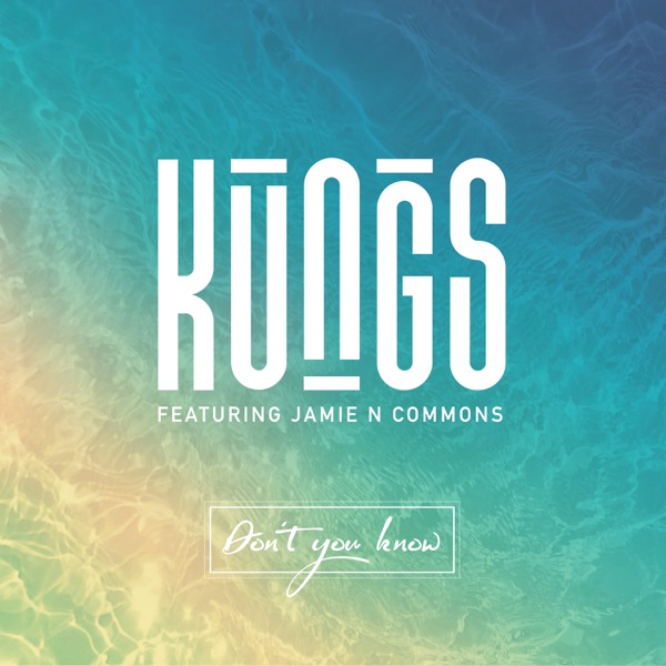Don't You Know (DJ Licious Remix) [feat. Jamie N Commons] - Single album cover