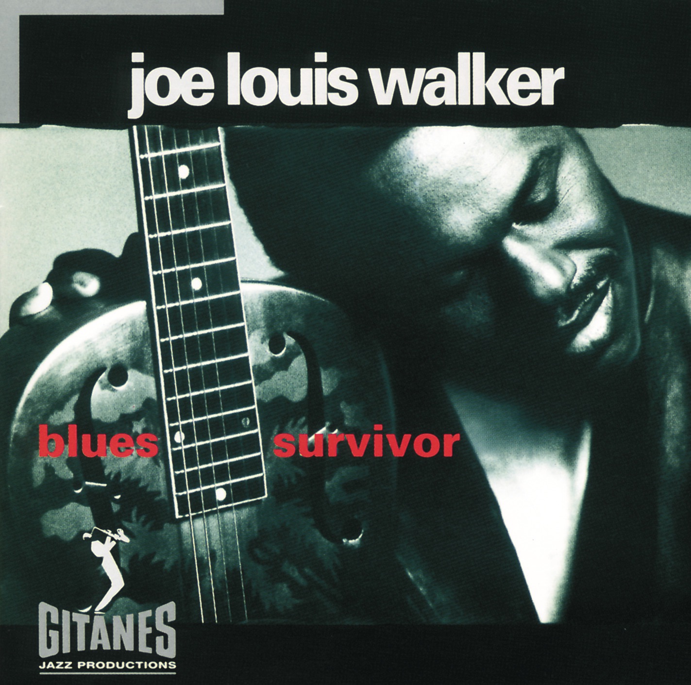 Blues Survivor album cover