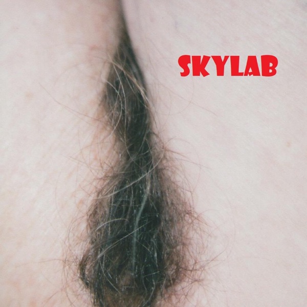 SKYLAB - Single album cover