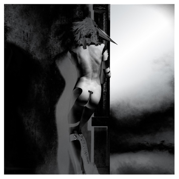 The Answer Remixes (Natural Selection / Follow Me Down) - EP album cover