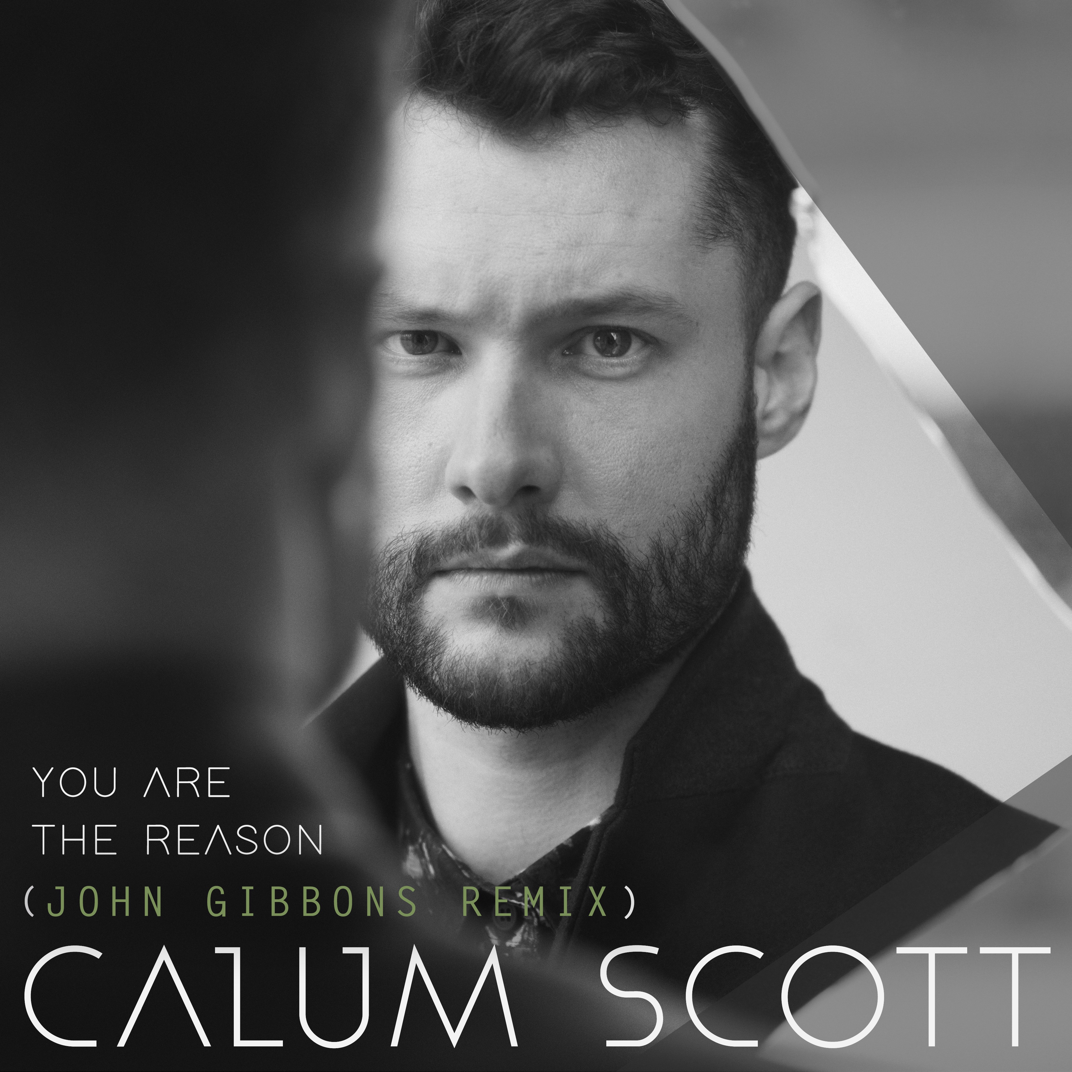 You Are the Reason (John Gibbons Remix) - Single album cover
