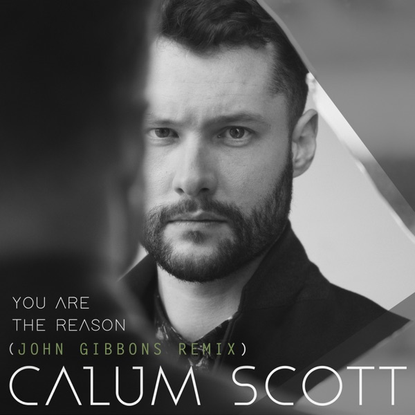 You Are the Reason (John Gibbons Remix) - Single album cover