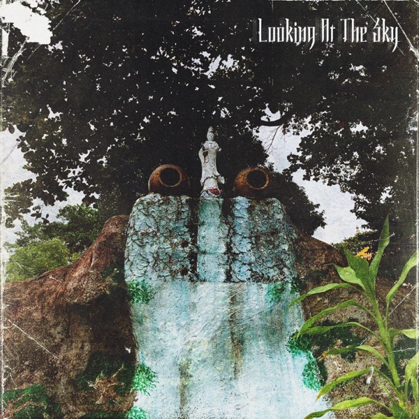 Looking at the Sky album cover