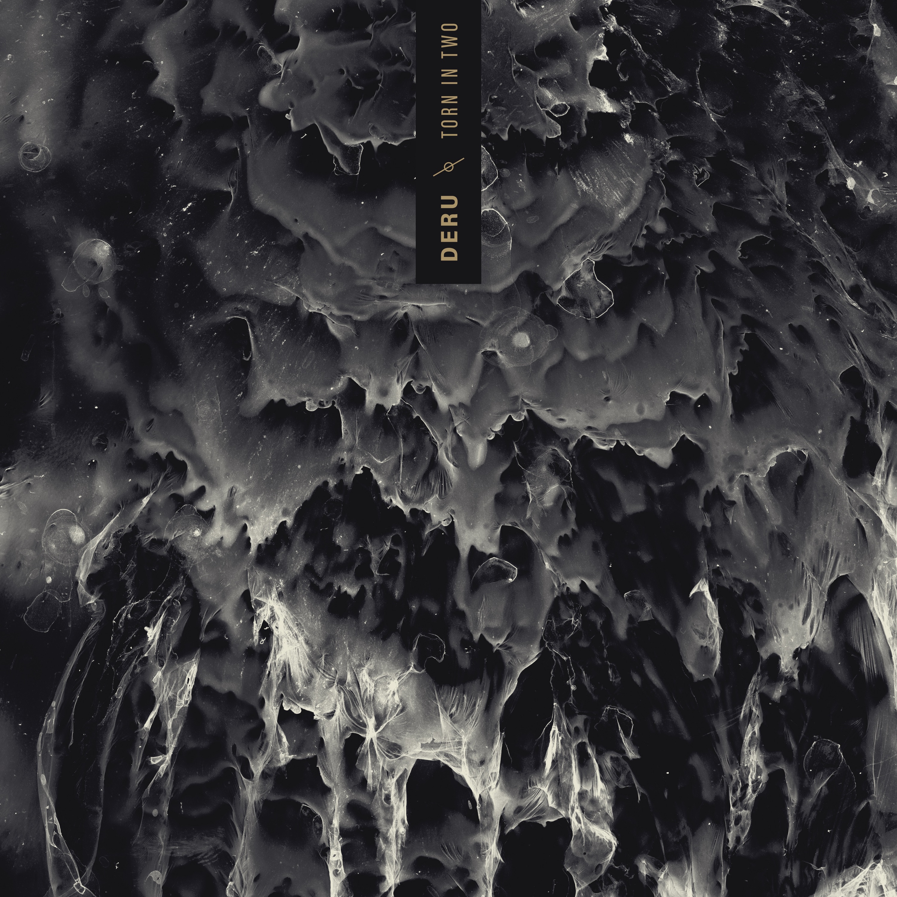 Refuge - Single album cover