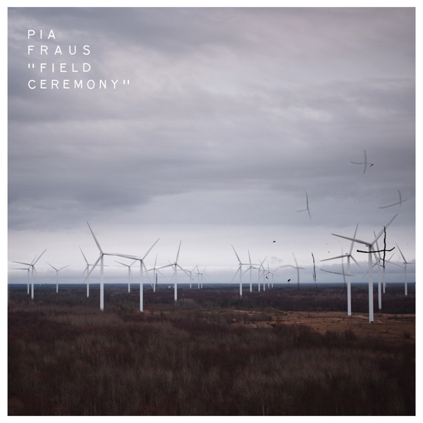 Field Ceremony album cover