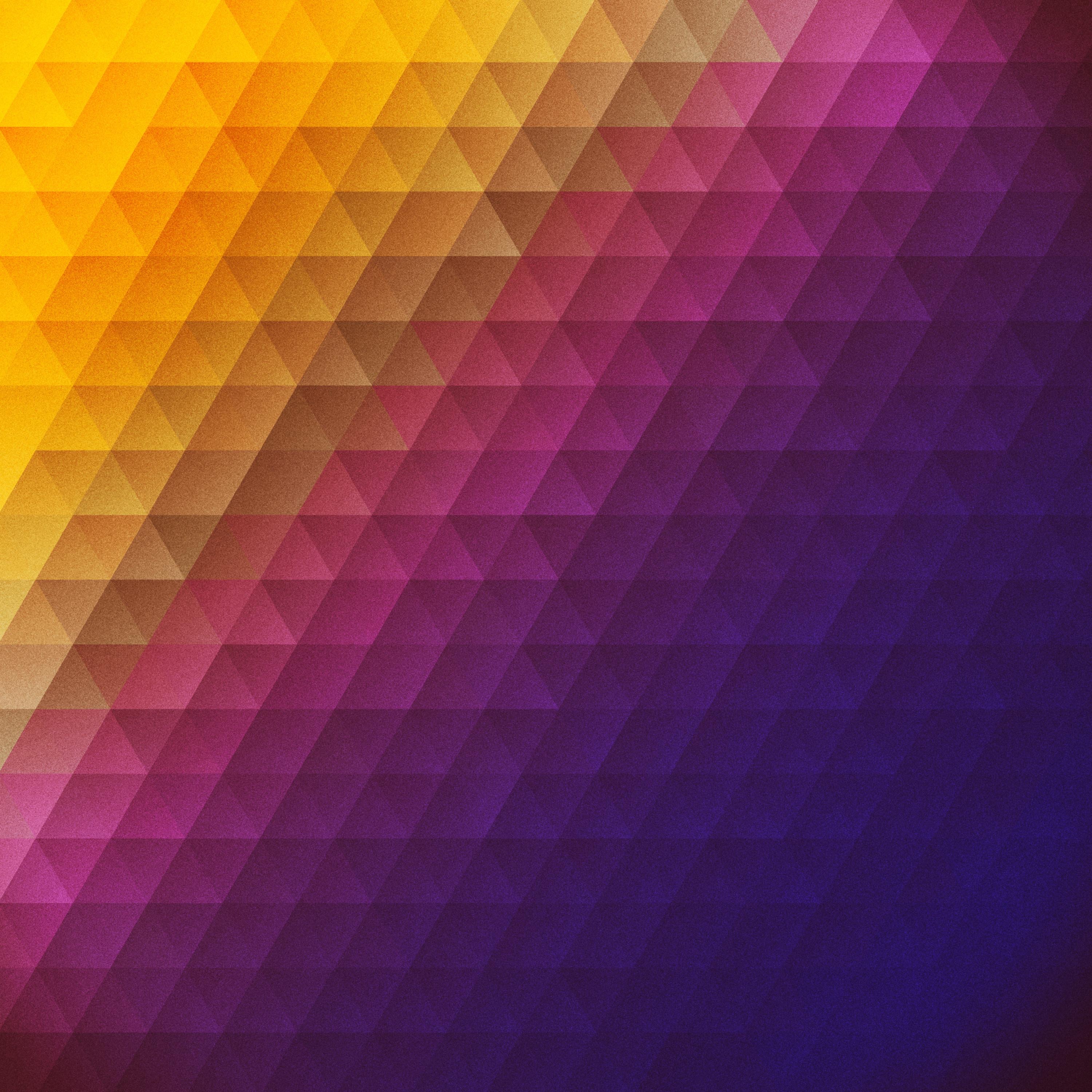 Circuit Bloom album cover
