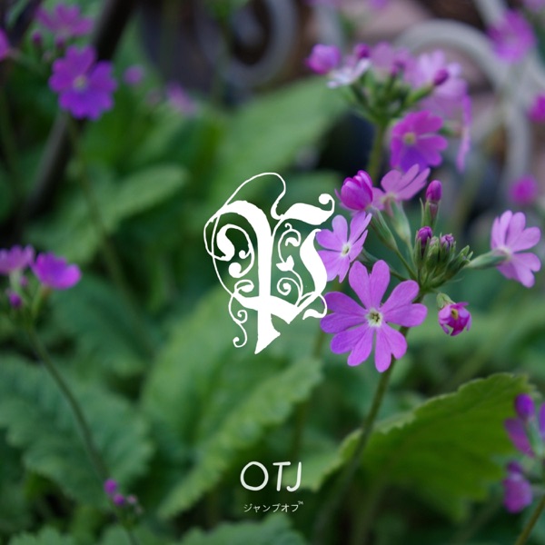 Primrose - Single album cover
