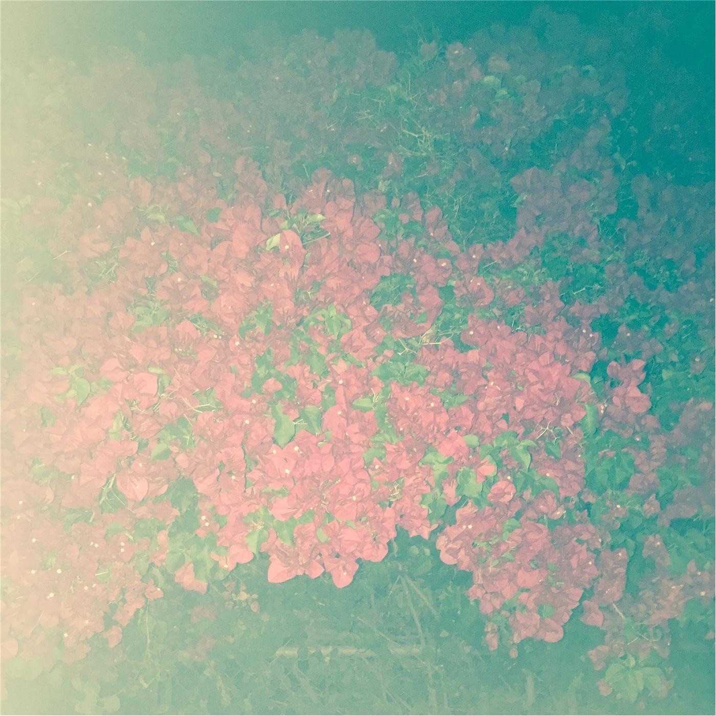 Halos / Bills - Single album cover