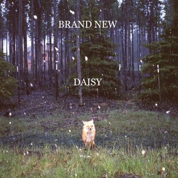 Daisy album cover
