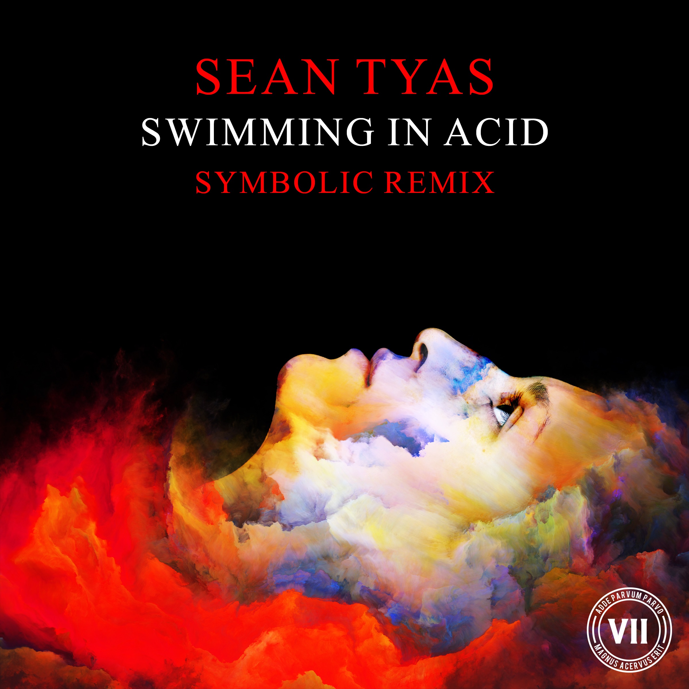 Swimming in Acid - Single album cover