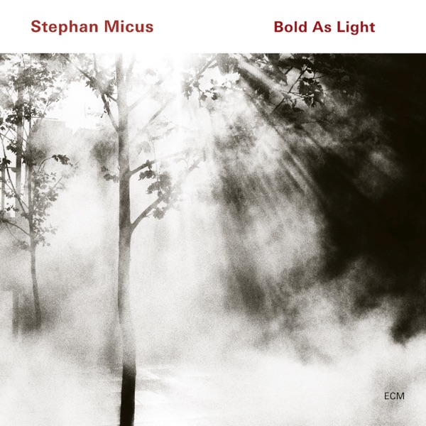Bold As Light album cover