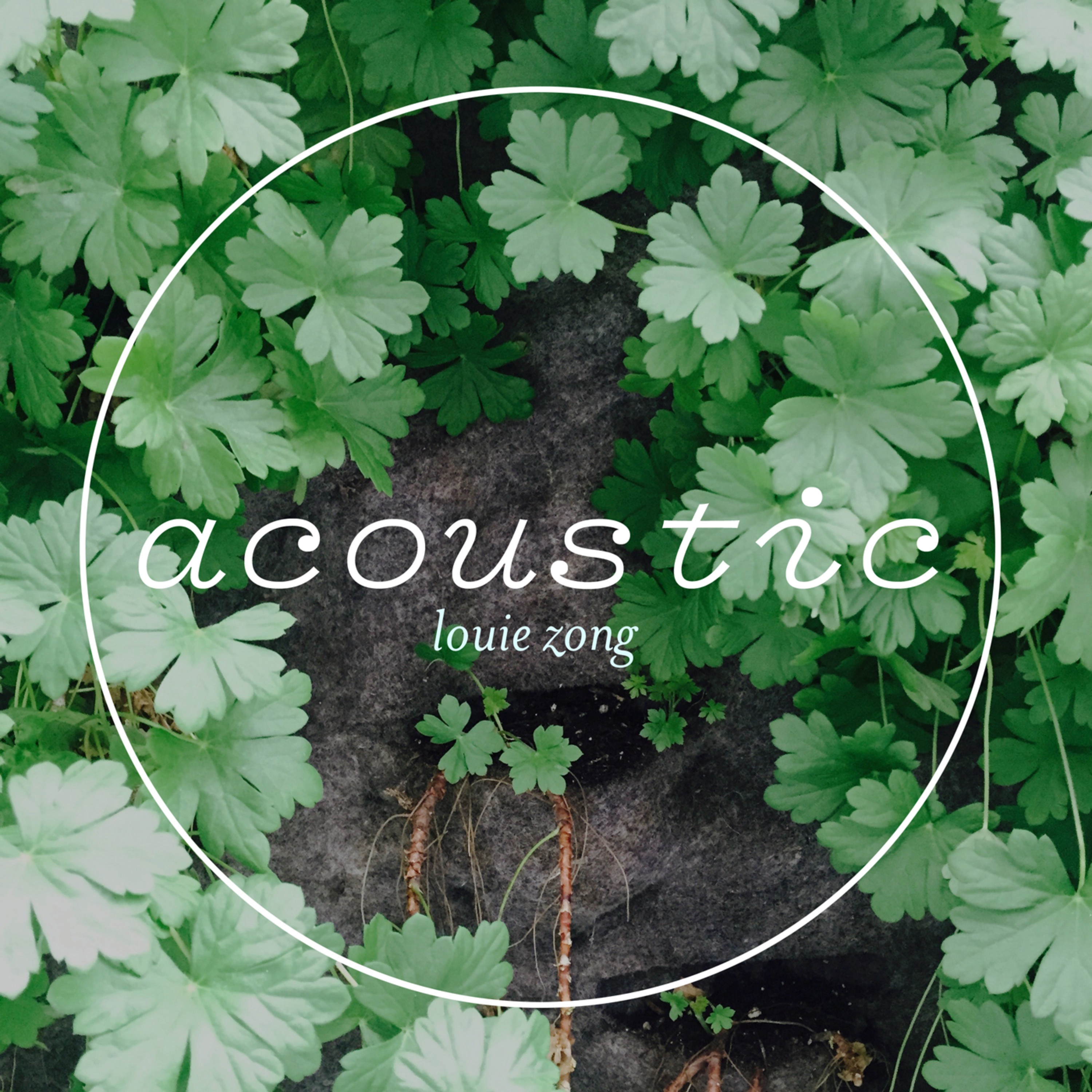 Acoustic - EP album cover