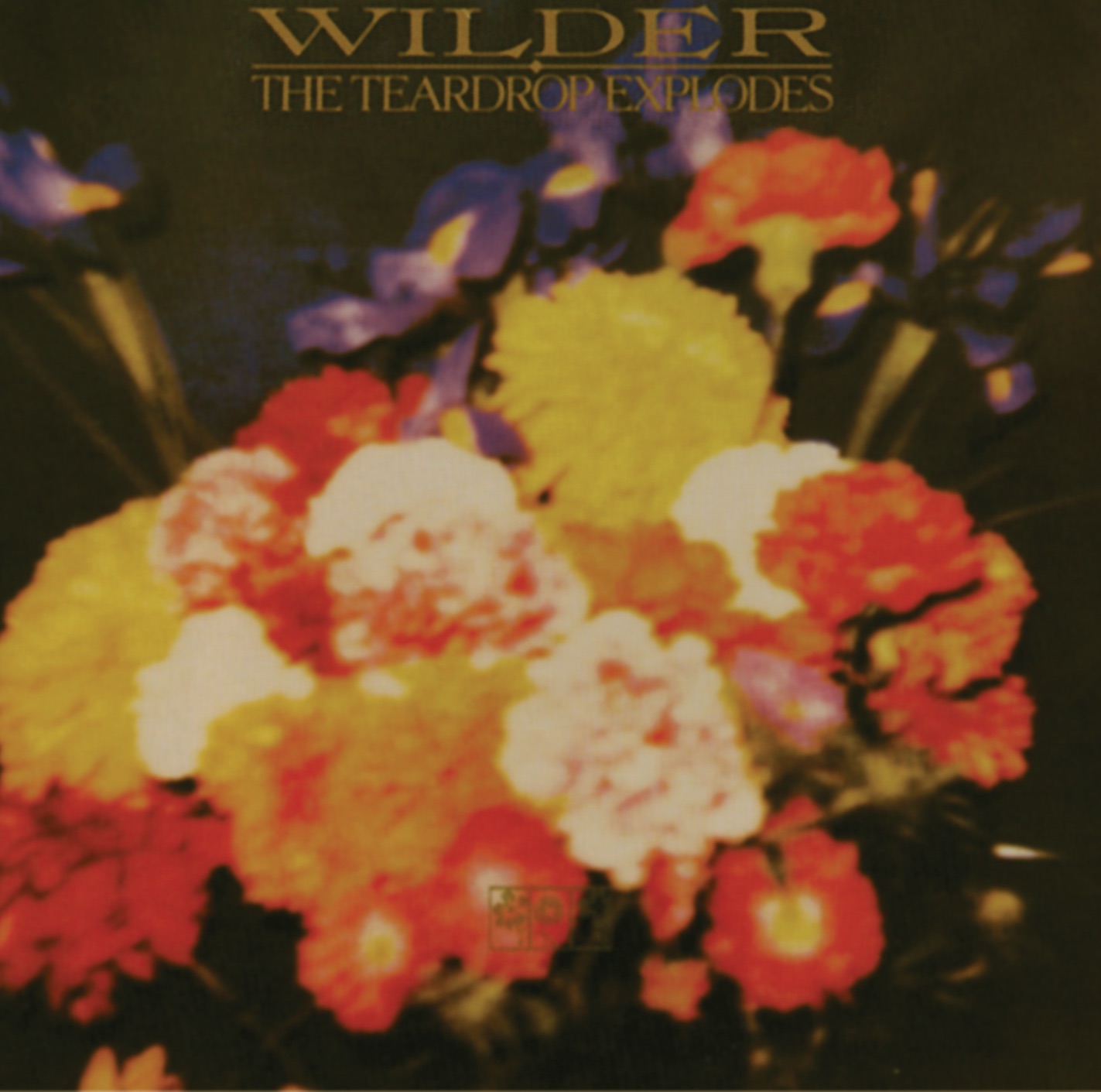 Wilder album cover
