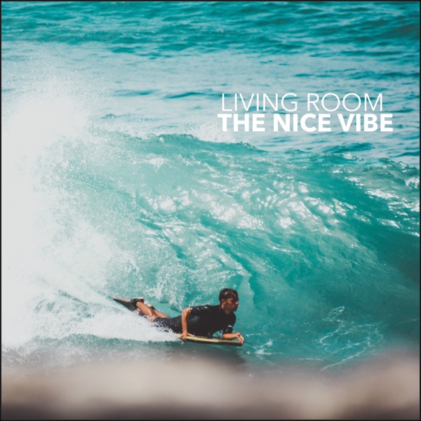 The Nice Vibe album cover