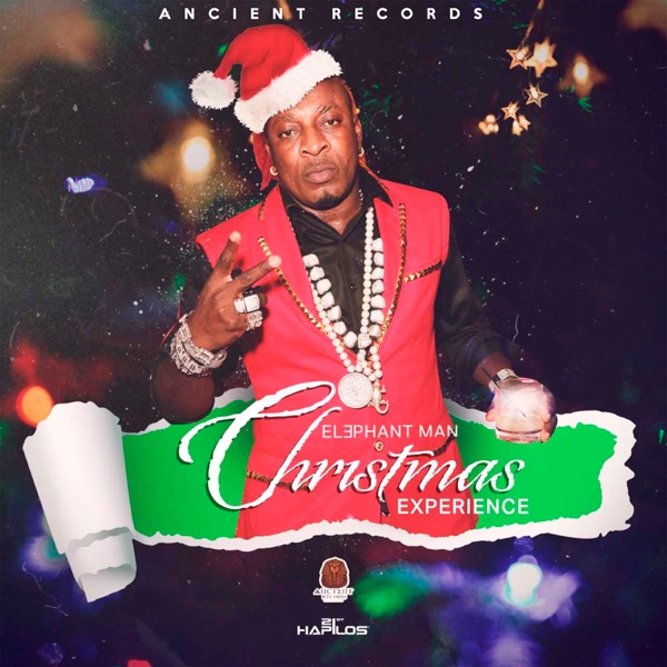 Xmas Experience - Single album cover