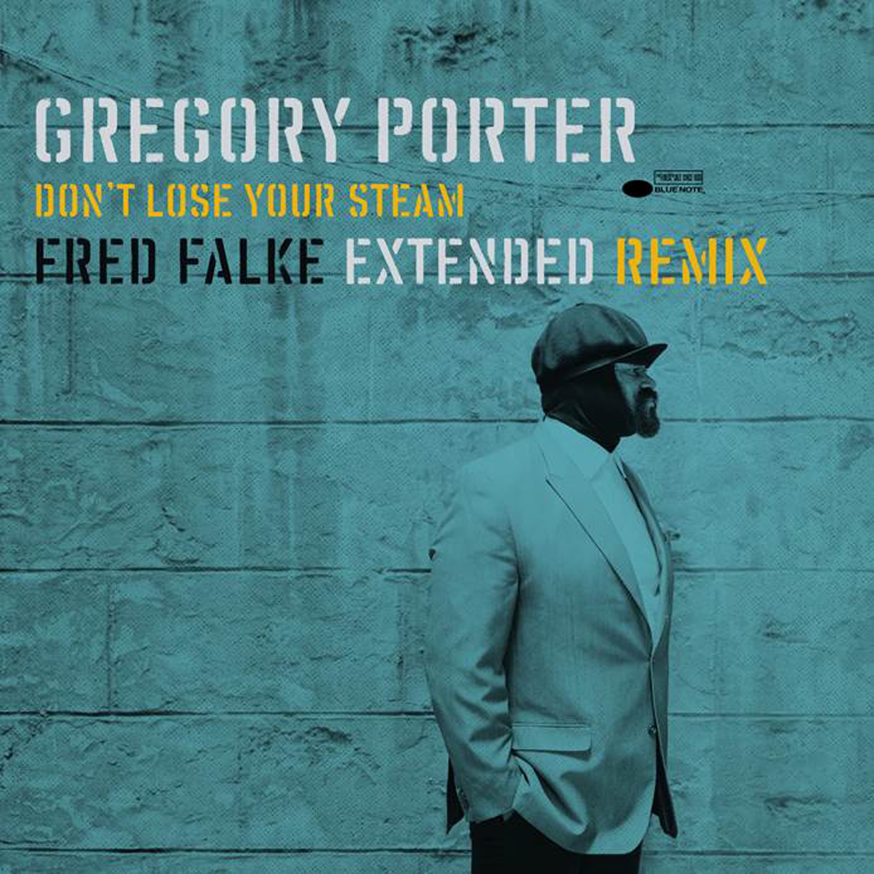 Don't Lose Your Steam (Fred Falke Extended Remix) - Single album cover