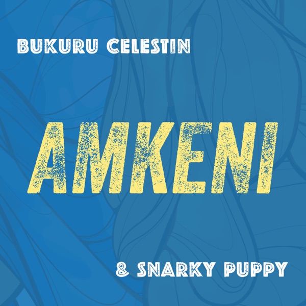 Amkeni album cover