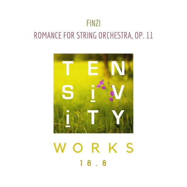 Romance for String Orchestra, Op. 11 - Single album cover