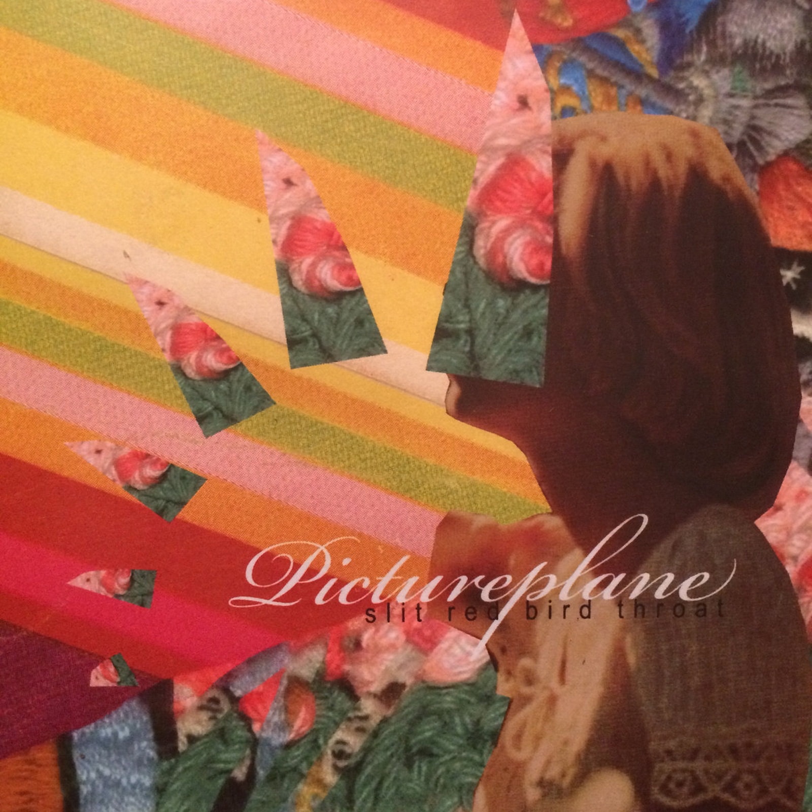 Slit Red Bird Throat album cover